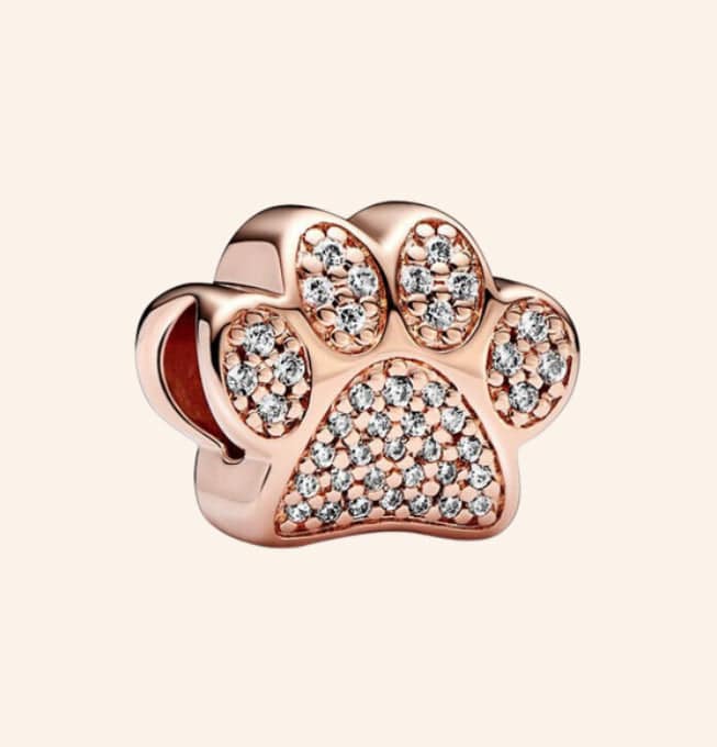 Mascota Charm Plata S925